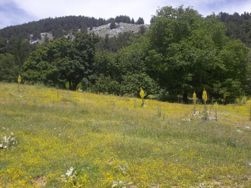 Bed and Breakfast Le Antiche Torri Pescasseroli Exterior foto